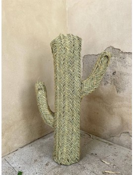 Cactus de Mimbre